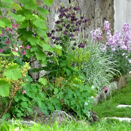 Kani Casa de hóspedes Sozopol