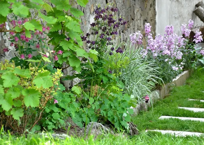 Kani Pensiune Sozopol